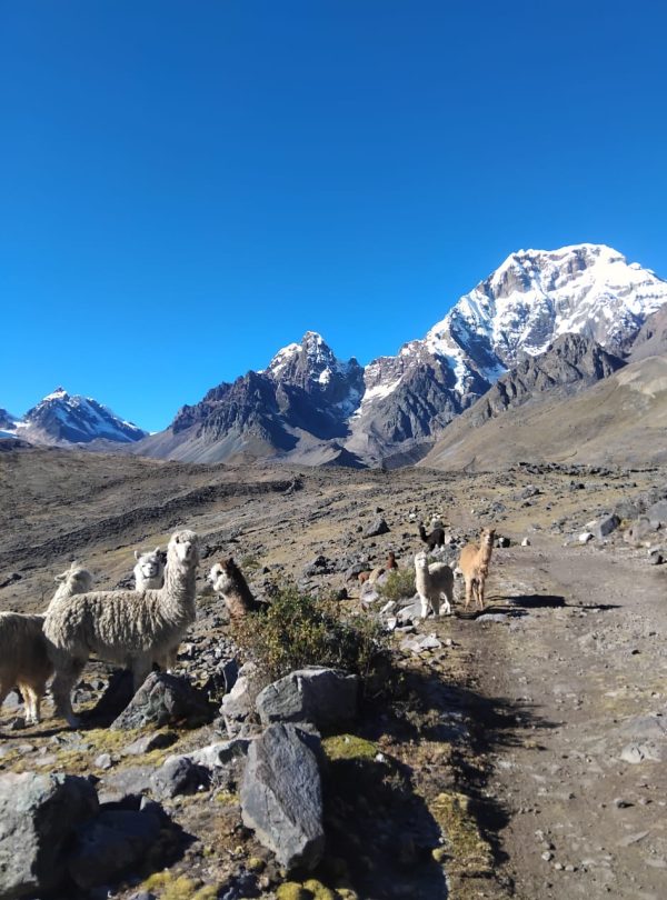 Panoramic view of the Ausangate mountain during 7 lagoons trek