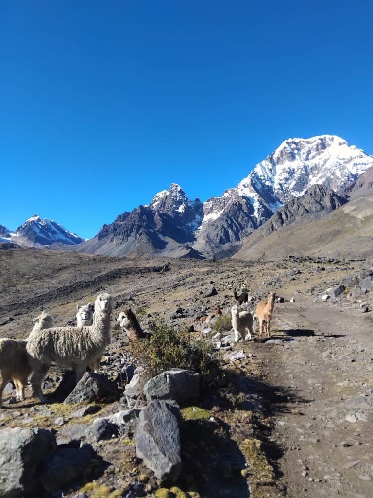 Panoramic view of the Ausangate mountain during 7 lagoons trek
